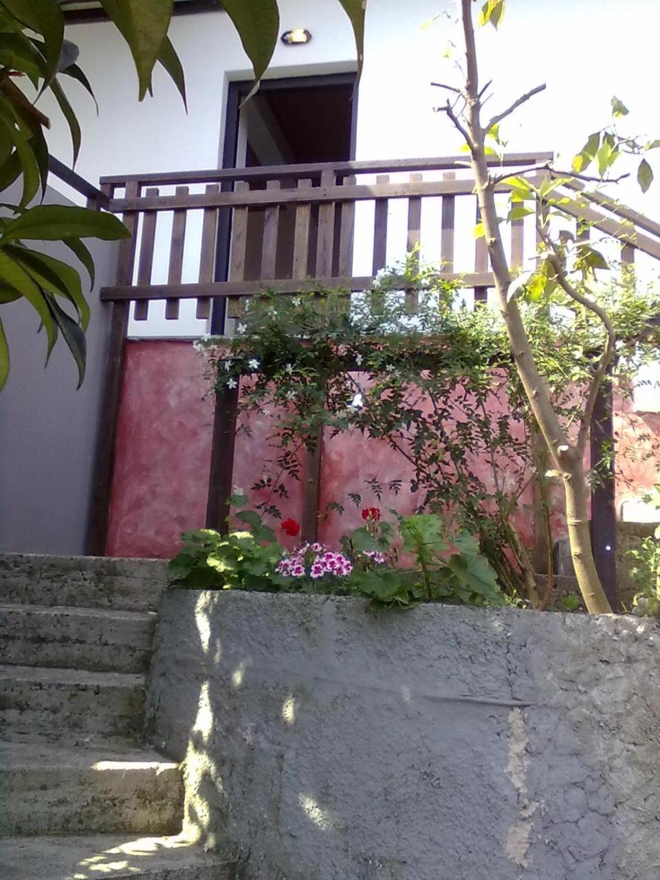 Pelion Orama Apartment Agios Ioannis  Exterior photo